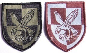 eagles-pair