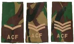 rankslides acf